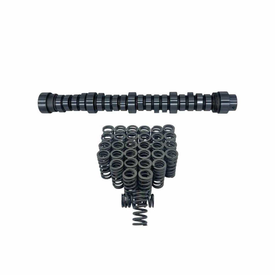 6.0L Powerstroke Diesel Stage 2 Billet Camshaft Valve Spring kit