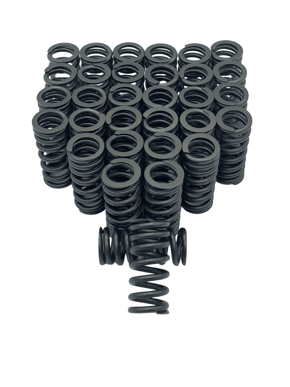 6.4L Powerstroke Diesel Stage 1 Valve Spring Set