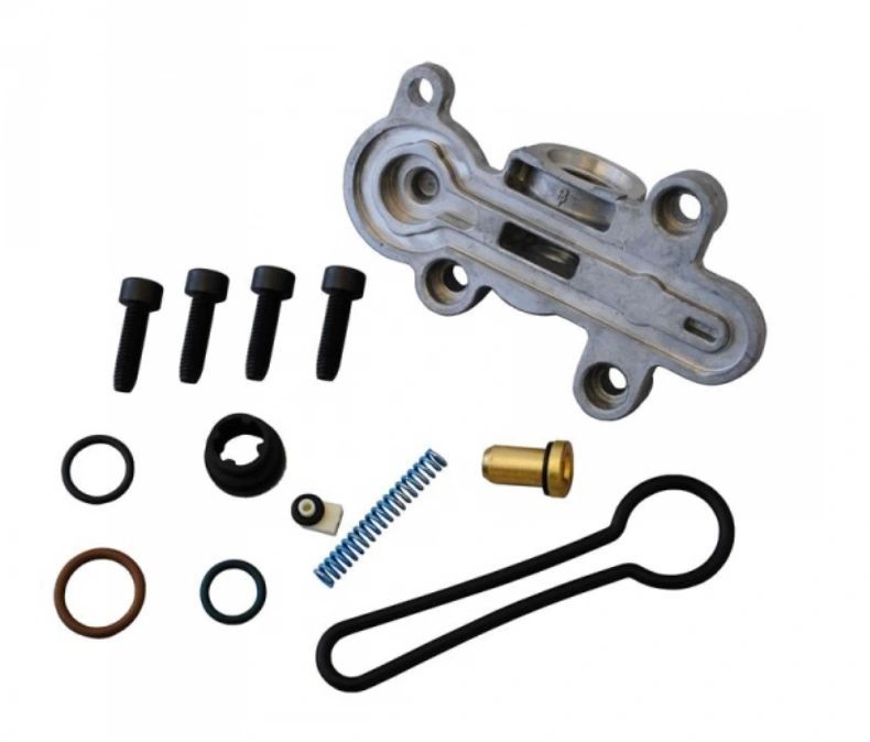 FORD 3C3Z-9T517-AG FUEL PRESSURE REGULATOR "BLUE SPRING" KIT