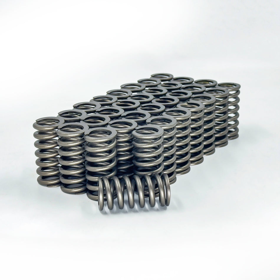Ford Powerstroke 6.0L/6.4L - Stock Replacement Valve Spring Set